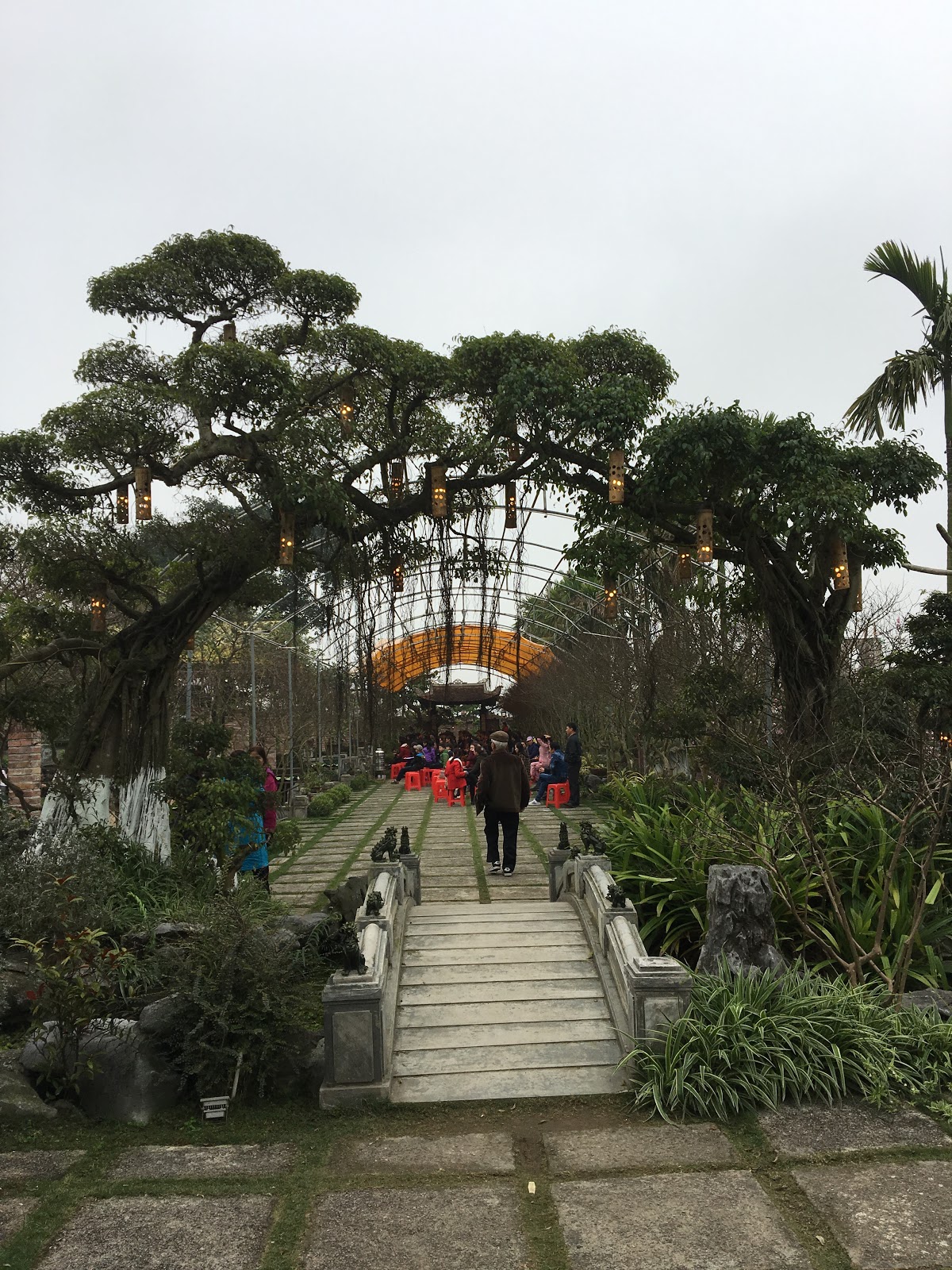 Cảnh