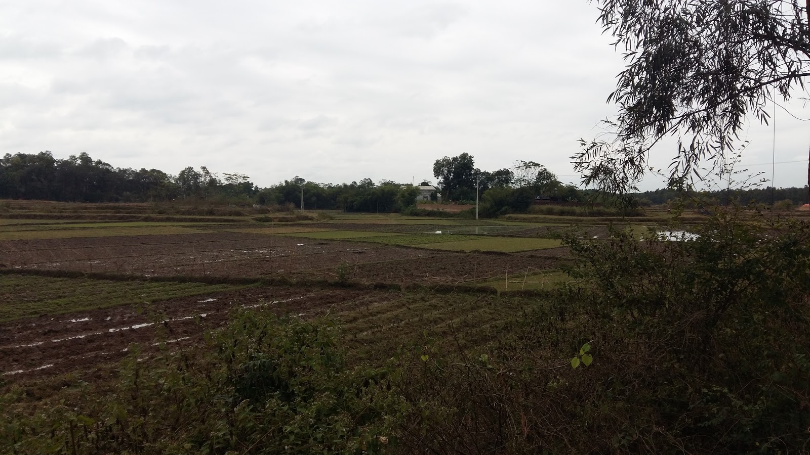 Đền Mục (Di tích lịch sử Quốc gia)